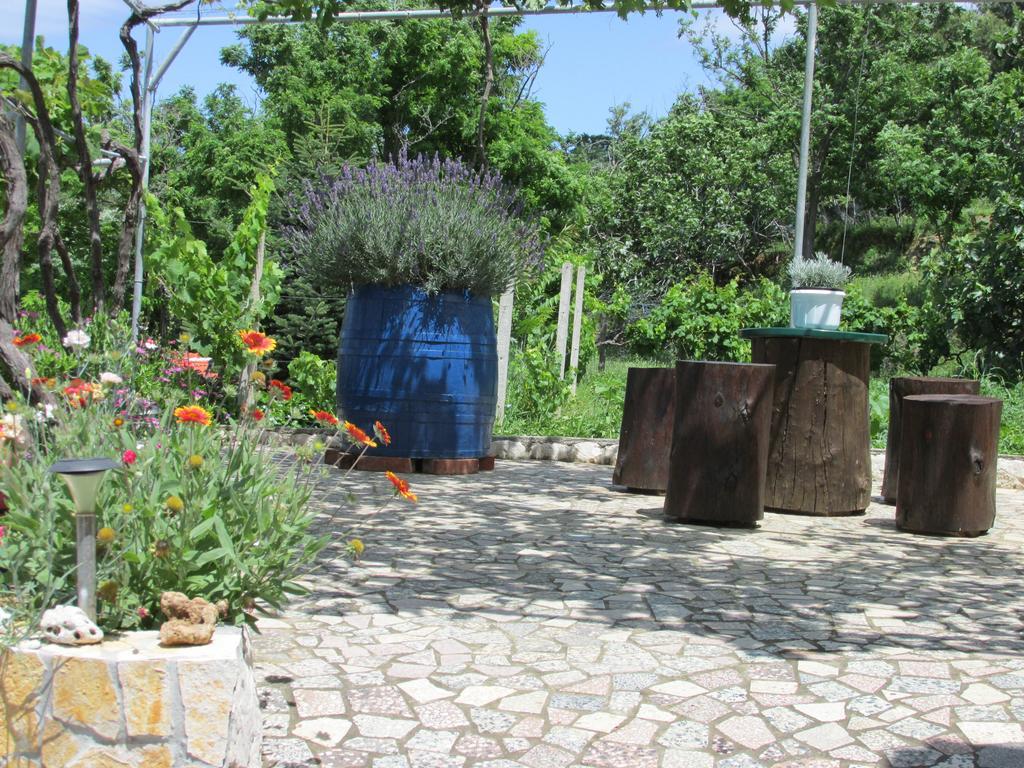 Apartma Roza *